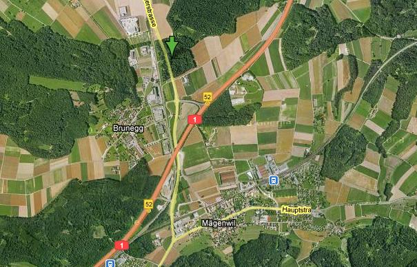 maegenwiler_wald.jpg